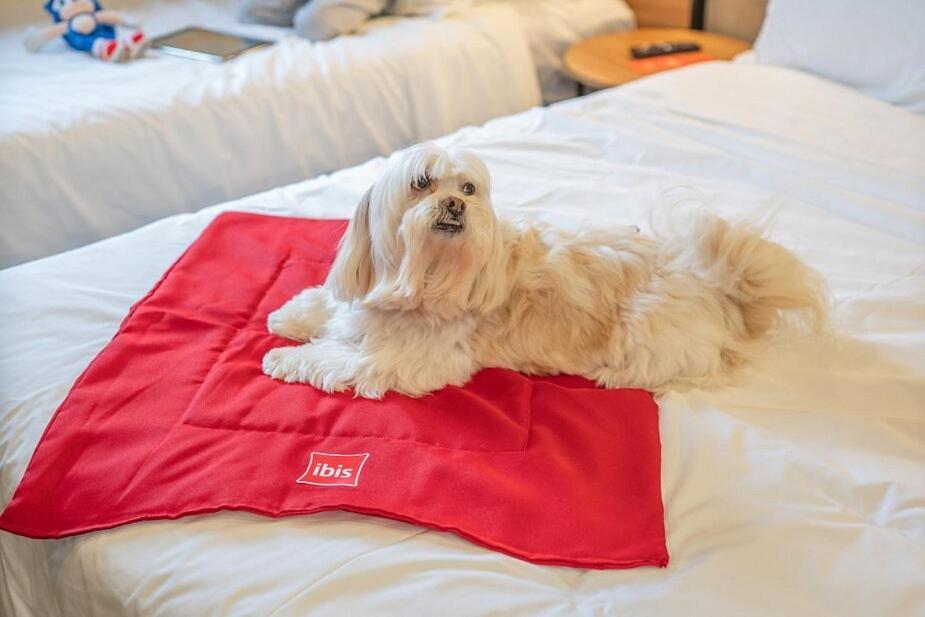 Ibis Hotel 4*